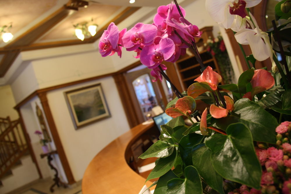 Ariston Lake View Hotel Molveno Buitenkant foto
